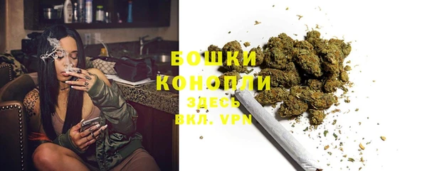 трава Кодинск