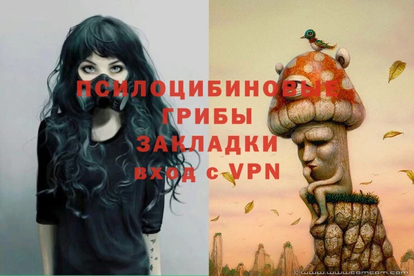 марки nbome Козельск