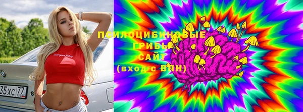 трава Кодинск