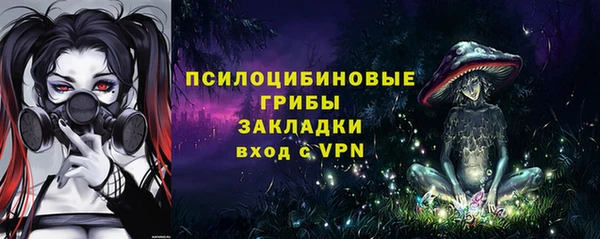 МДПВ Козловка