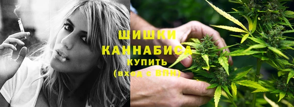 МДПВ Козловка