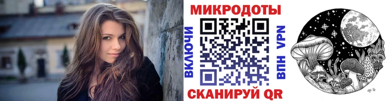 Купить  Пучеж  Галлюциногенные грибы Psilocybe 
