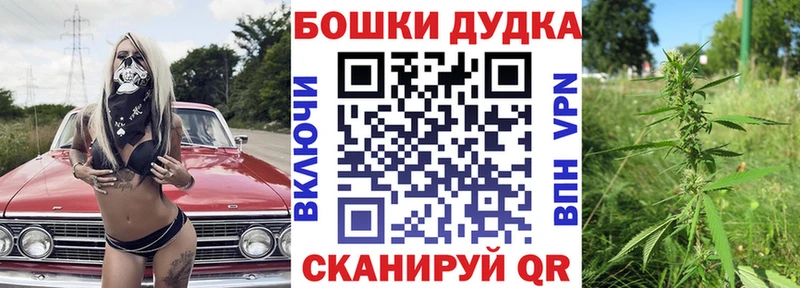 Канабис планчик  Купить закладки  Пучеж 